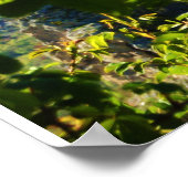 Poster Una cornice, una Torre. (Coin)