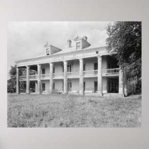 Poster Uncle Sam Plantation