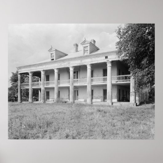 Poster Uncle Sam Plantation (Devant)