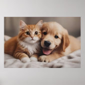 Poster Unconditional Love (Devant)