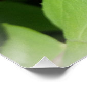 Poster Une abeille sur une page (Coin)