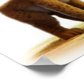 Poster Une aquarelle 3D image d'un jeune Bobcat mignon (Coin)