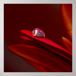 Poster Une autre brique I dans le mur