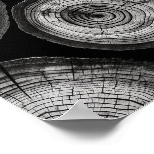 Poster Une Bague d'Arbre Noir et Blanc Imprimer (Coin)