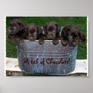 Poster Une baignoire au chocolat