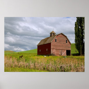Poster Une balade à travers la campagne de Palouse 4