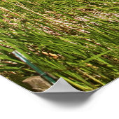 Poster Une balade dans le pays agricole de Palouse 3 (Coin)