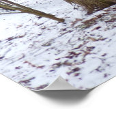 Poster Une balade dans les bois (Coin)