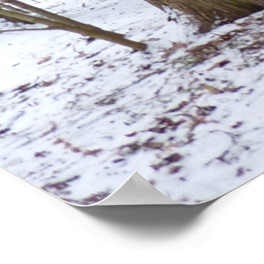 Poster Une balade dans les bois (Coin)