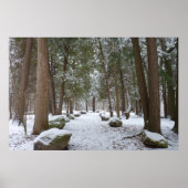 Poster Une balade dans les bois (Devant)