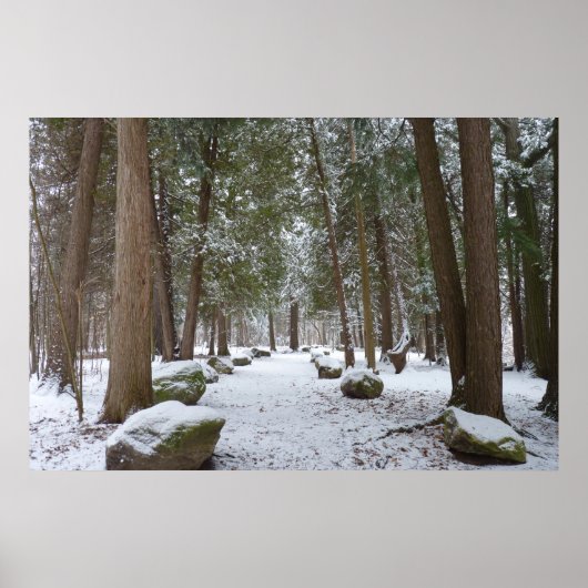 Poster Une balade dans les bois (Devant)
