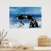 Poster Une baleine d'un monde (Cuisine)