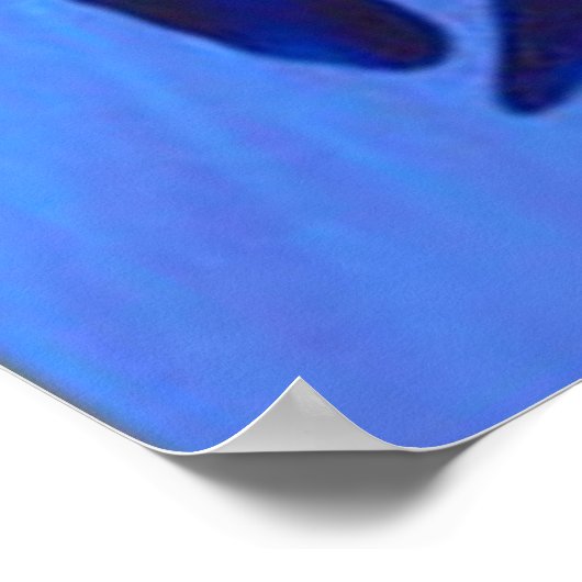 Poster Une baleine d'un temps (Coin)