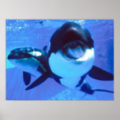 Poster Une baleine d'un temps (Devant)