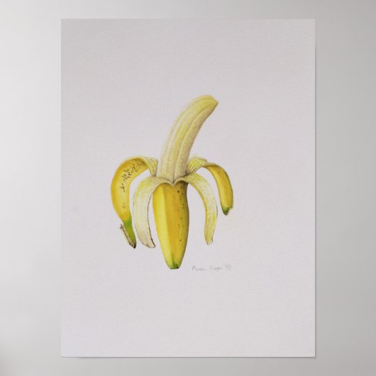 Poster Une banane à moitié pelée 1997 (Devant)