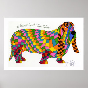 Poster Une Basset Hounds Vraies Couleurs, Basset Hound Po