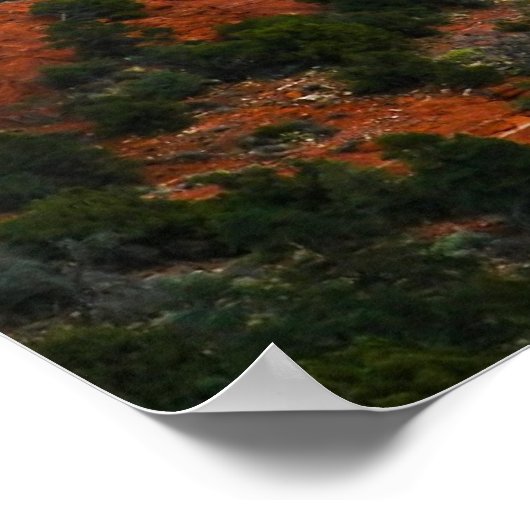 Poster Une beauté sans fin (Coin)