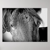 Poster Une belle vue (Devant)