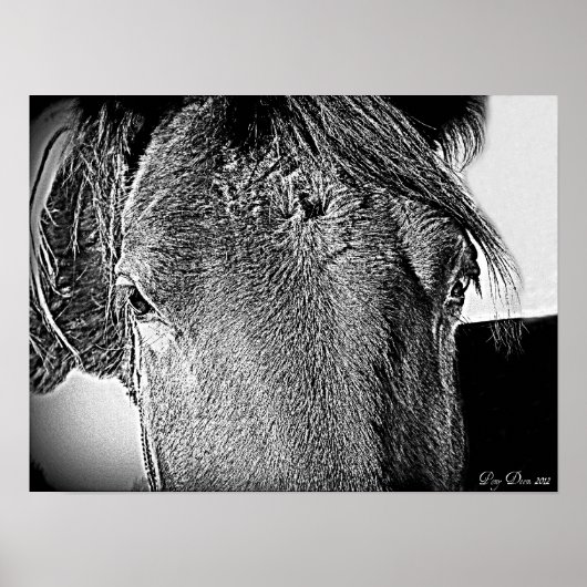 Poster Une belle vue (Devant)