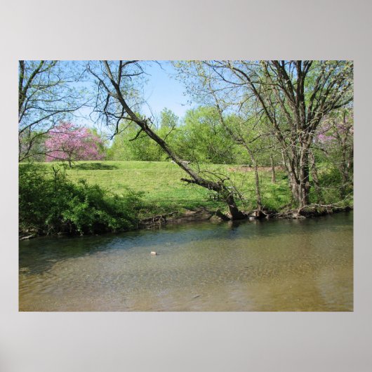 Poster Une belle vue sur la rivière (Devant)