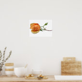 Poster Une bouture de rose unique (Cuisine)