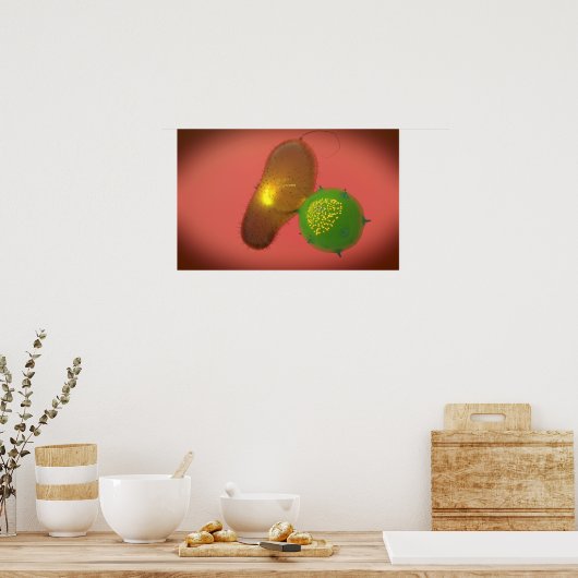 Poster Une Cellule Tueuse Naturelle Injecte La Toxine (Cuisine)