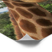 Poster Une charmante girafe (Coin)