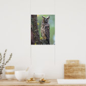 Poster Une chouette effraie perchée sur une branche d'arb (Cuisine)