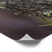 Poster Une chouette effraie perchée sur une branche d'arb (Coin)