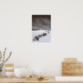 Poster Une Clôture Brisée Le Long D'Un Terrain Couvert De (Cuisine)