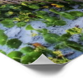 Poster Une clôture de plage au coucher du soleil (Coin)