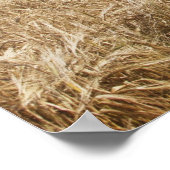 Poster Une Clôture En Fil Barbelé Construite Le Long D'Un (Coin)