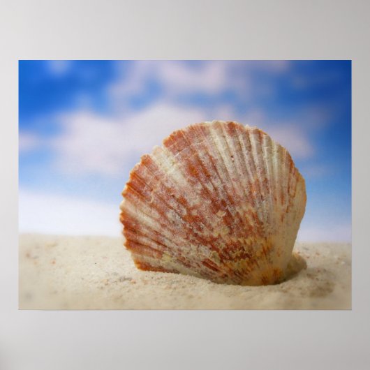 Poster Une Coquille Propulsée Dans Le Sable (Devant)