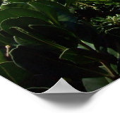 Poster Une Crique Rocky Bermuda (Coin)