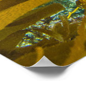 Poster Une Curieuse Forêt De Kelp De Phoque Portuaire | P (Coin)