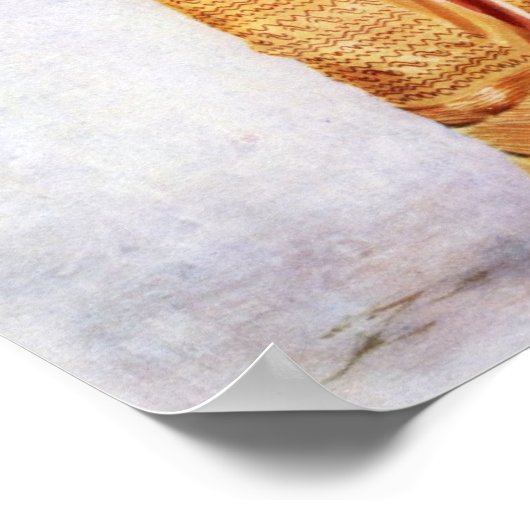 Poster Une dame birmane (Coin)