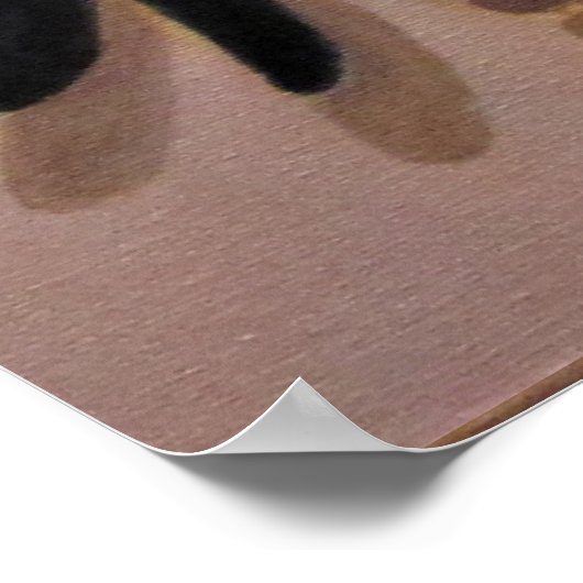 Poster Une Dame Ornée De Perles (Coin)