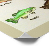Poster Une empreinte très poissonneuse (Coin)
