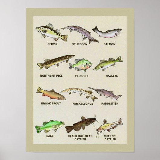 Poster Une empreinte très poissonneuse (Devant)