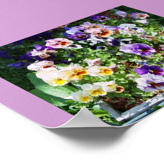 POSTER UNE ÉPAISSE DE COULEUR (Coin)