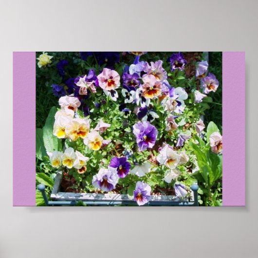 POSTER UNE ÉPAISSE DE COULEUR (Devant)