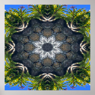 Poster Une étoile dans le bassin.....