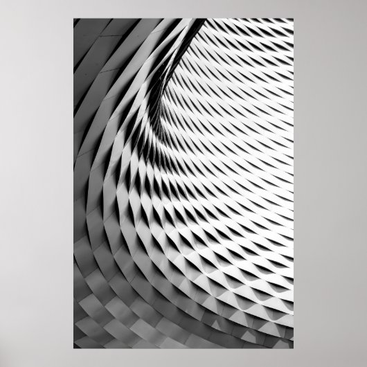 POSTER UNE FAÇADE COURVÉE COUVERTE DE LATICEWORK BLANC (Devant)