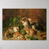 Poster Une famille de lapins par Alfred Richardson Barber (Devant)