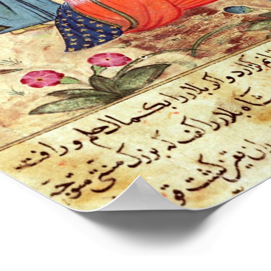 Poster Une femme en proie au Sultan (Coin)