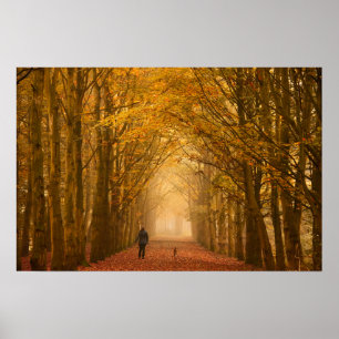 Poster Une femme se promenant avec un chien sur une affic