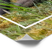 Poster Une fête de maman (Coin)