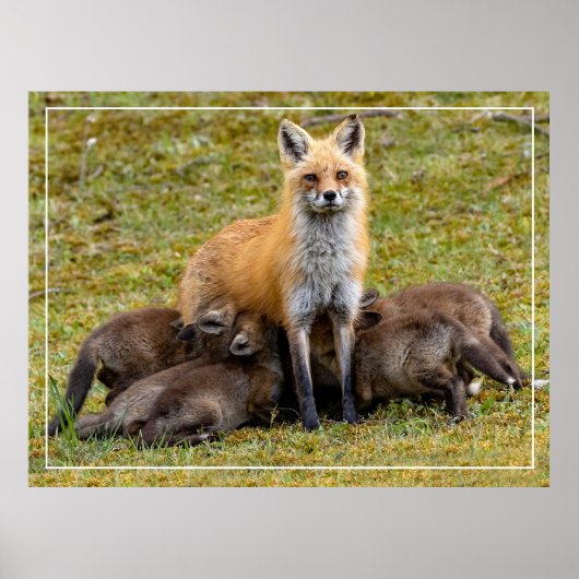 Poster Une fête de maman (Devant)