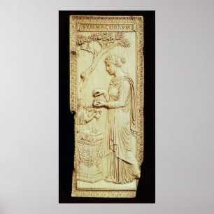 Poster Une feuille de Symmachi Diptych