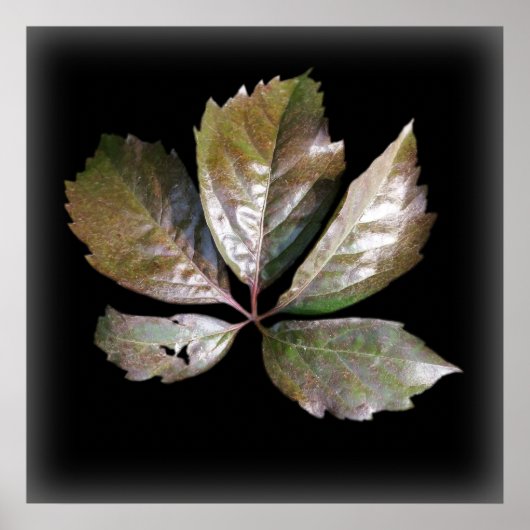 Poster une feuille rouillée (Devant)
